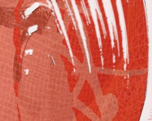 05_ARDO-E-SCOPIA-(0.02.29.24)