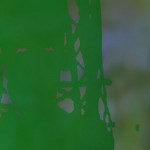 09_NINFA-CHE-(0.02.17.08)