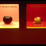 Apfel_692CDF5C745E42B1