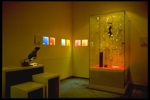 Ausstellung_kl_CF131724D5864DCA