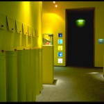 Ausstellung_kl_EDB51235E89D487A