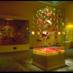 Ausstellung_kl_FD3DE430D95447A1