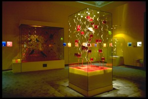 Ausstellung_kl_FD3DE430D95447A1