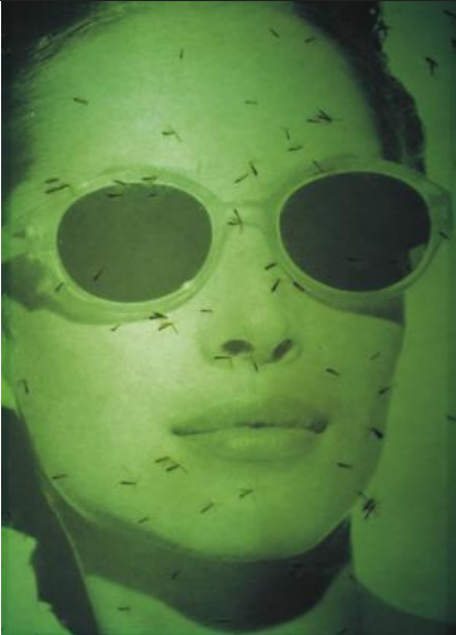LUISE KLOOS | Calvin Klein in Tuzla | 1998/2007/2025 Fotografie, auf Alu Dibond | 42 X 30 cm | Preis auf Anfrage