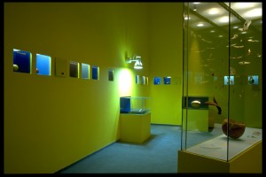 Flug_Ausstellung_761BE46C64314722
