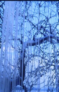 Grambach_1997_1