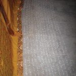 Zadar_Inst_7288