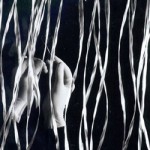 Performances