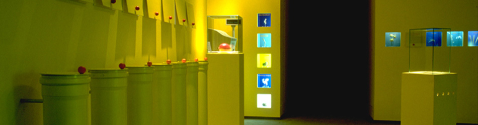 Luise Kloos